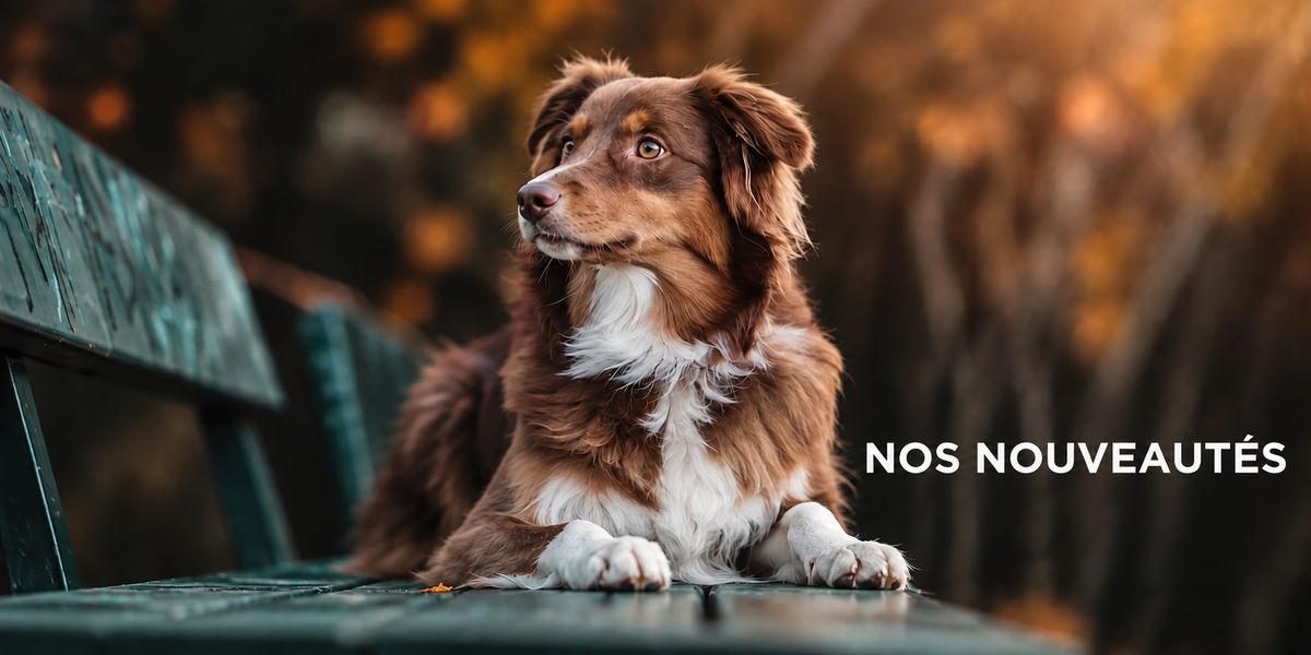 NOS NOUVEAUTÉS