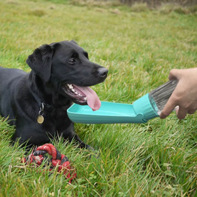 Gourde pour Chien – Hydratation facile, partout et à tout moment