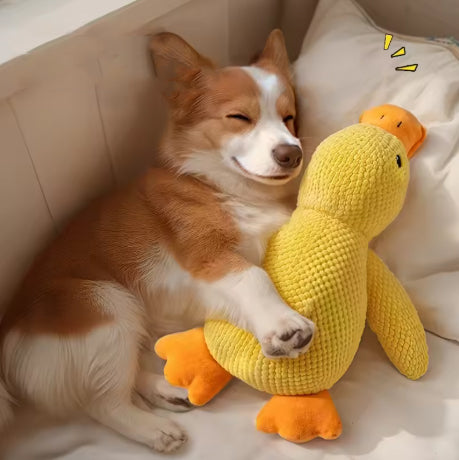 Peluche Animale pour Chien – Compagnon de Jeu Doux, Résistant et Amusant