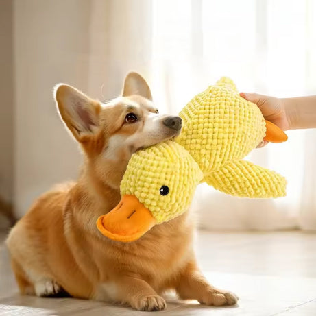 Peluche Animale pour Chien – Compagnon de Jeu Doux, Résistant et Amusant