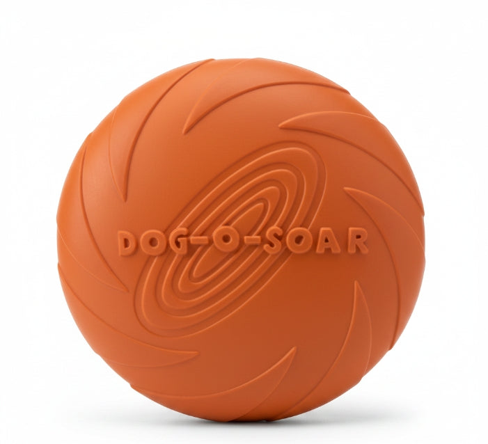 Frisbee en Caoutchouc Résistant – Jeu de Lancer Durable pour Toute la Famille