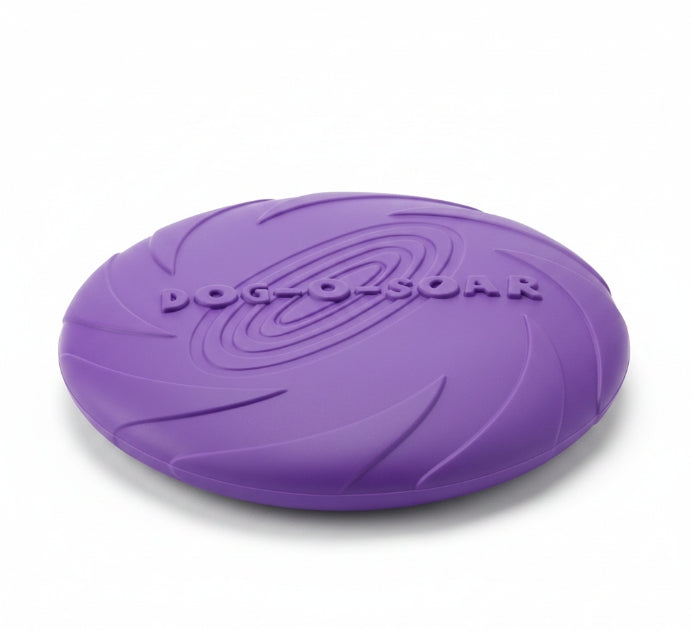 Frisbee en Caoutchouc Résistant – Jeu de Lancer Durable pour Toute la Famille