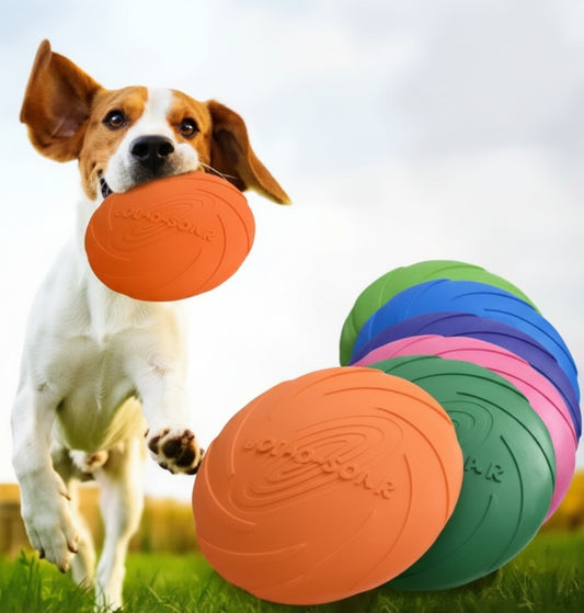 Frisbee en Caoutchouc Résistant – Jeu de Lancer Durable pour Toute la Famille